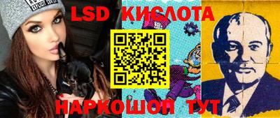 гашик Камышлов