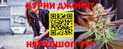 гашик Камышлов