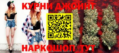 гашик Камышлов