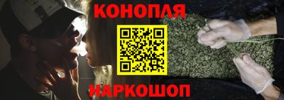 гашик Камышлов