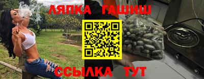 гашик Камышлов